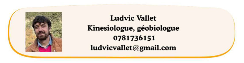 ludvic vallet contacts