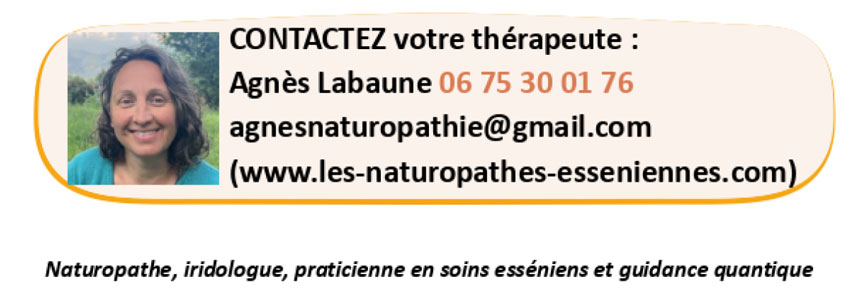 agnès labaune contact